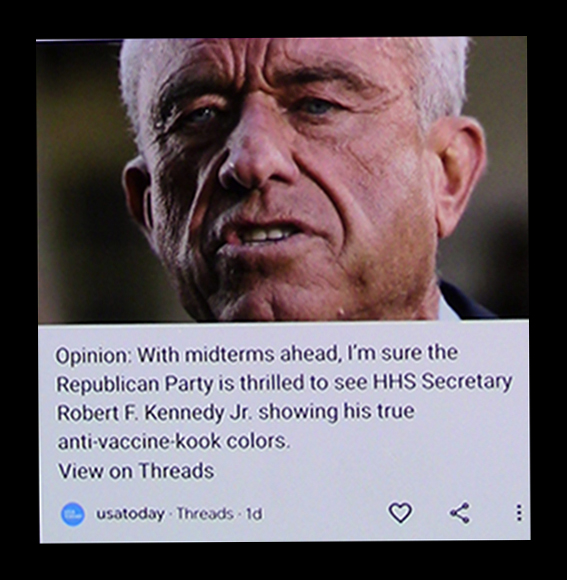 RFK Jr, USA Today-Threads picture (200K)